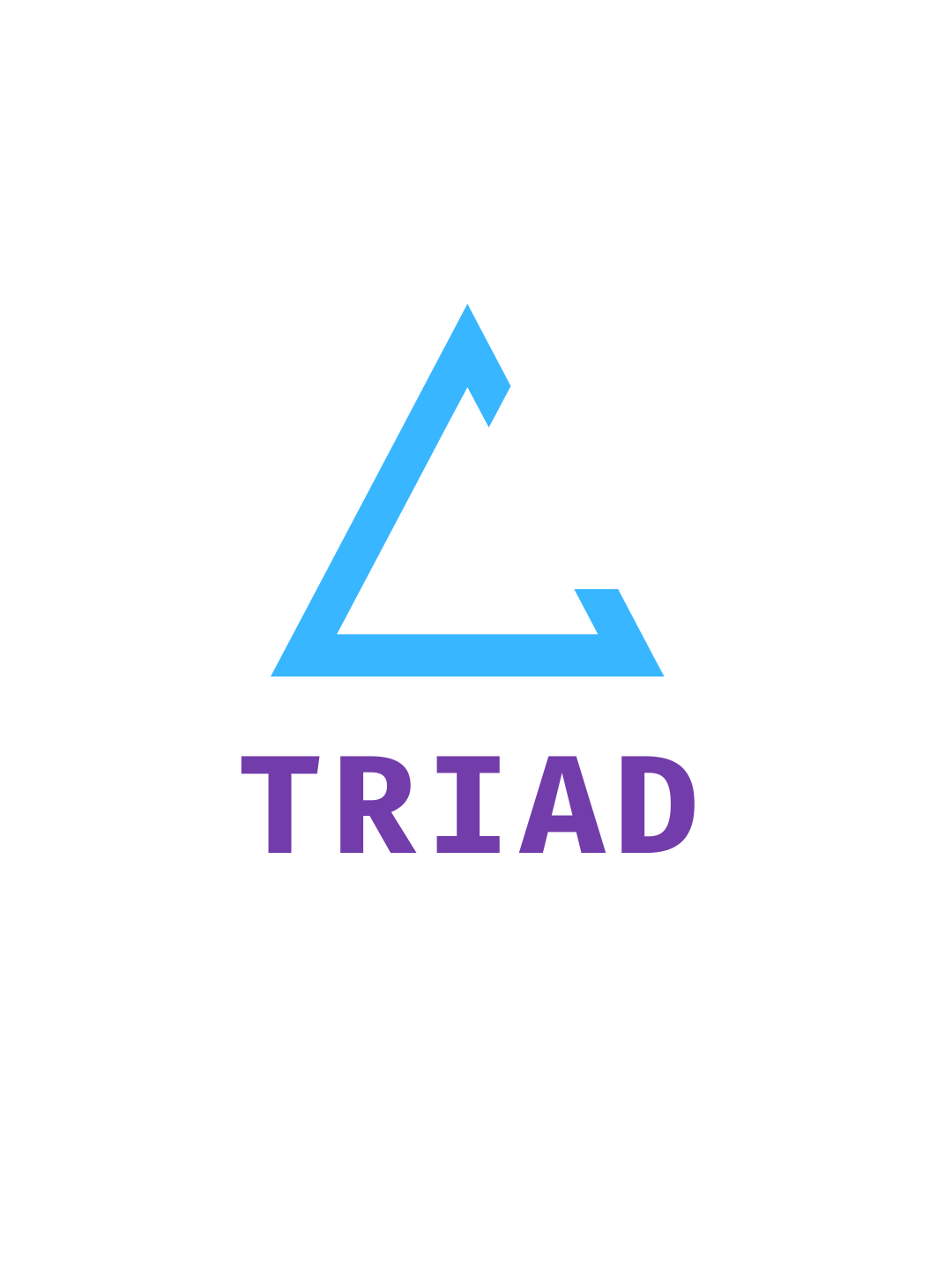 Logo TRIAD